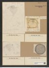 Aulacodiscus amoenus Grev. (de-Toni-Nr.: Genus 182, Species 4529) Zeichnungen Sammlung Grunow Nr. 8117 (NHMW-BOT-W0377464)